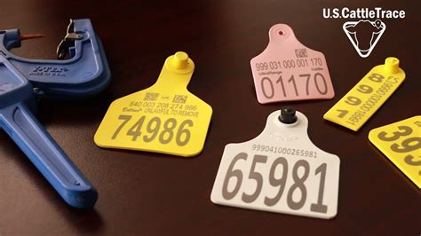 rfid cattle tag|rfid tags for livestock.